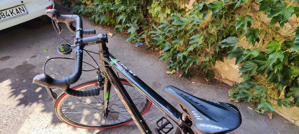 Cursiera Sensea Milano