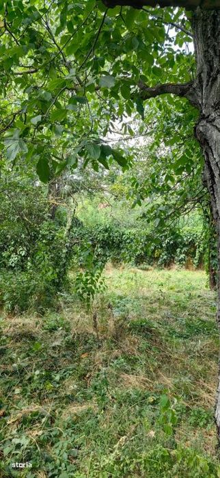 Teren cu deschidere mare 30 m