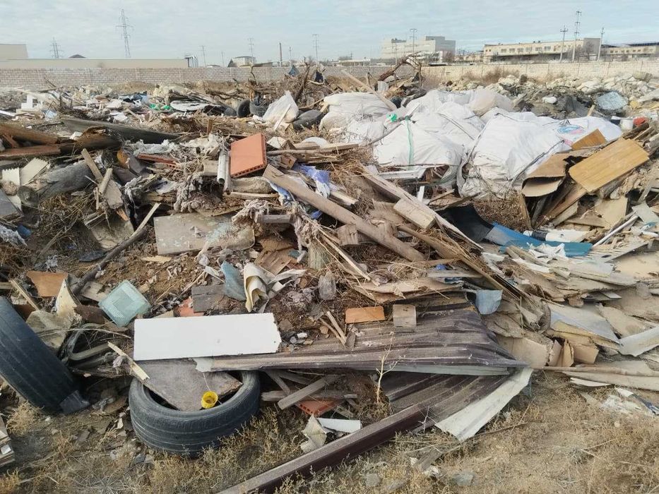 дрова (сухостой)