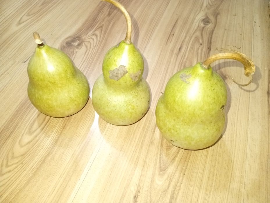 Продавам кратунки