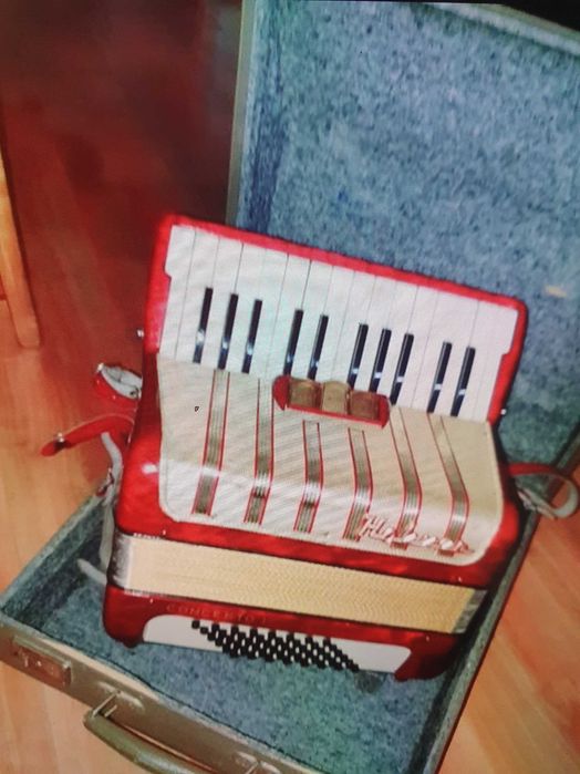 Акордеони  във добро състояние