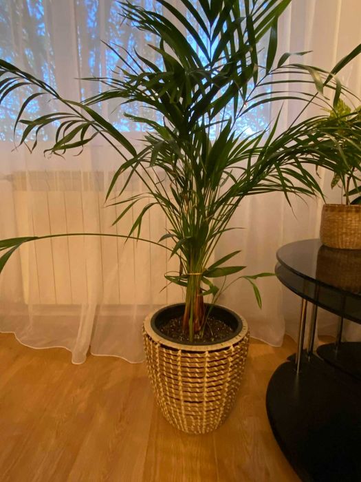 Vand mobilier dormitor pat, sifonier, covoare etc