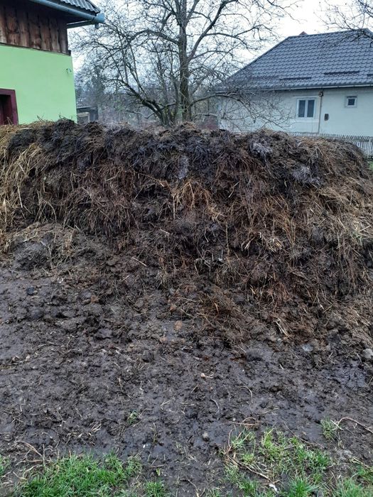 Gunoi de vaci vânzare