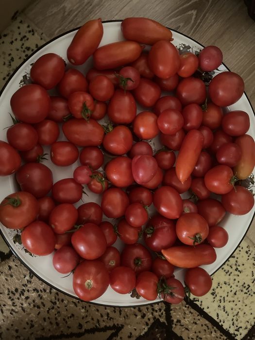 Продам домашние помидоры 800