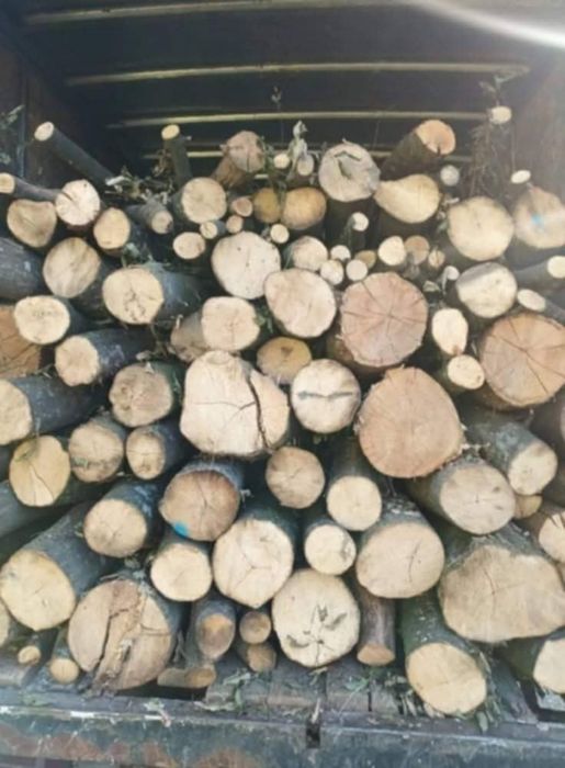 Lemne de foc esenta tare