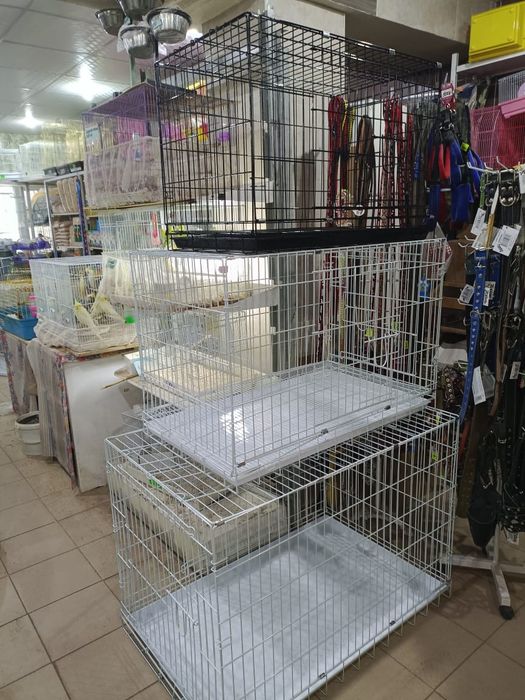 Клетки в наличии