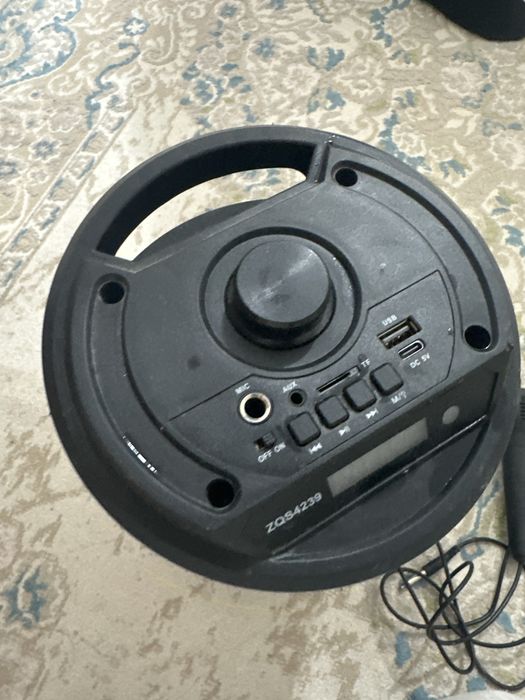 Караоке с микрафоном