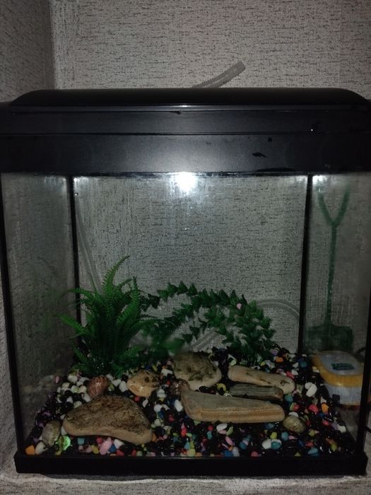 Аквариум с всичко към него