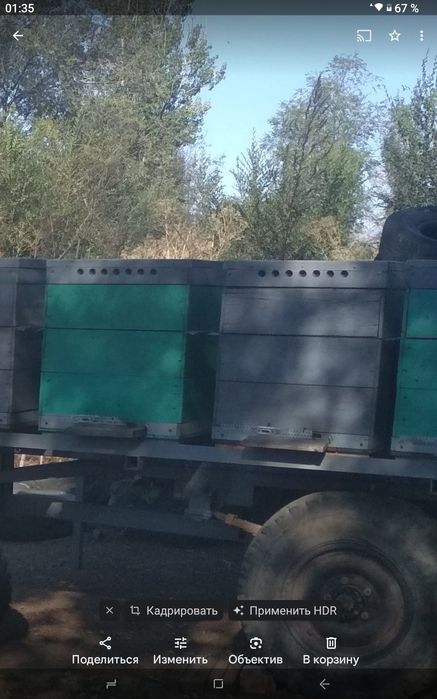 Улья, деревянные.