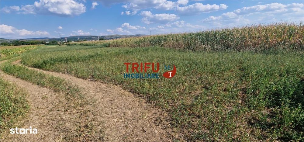 Teren intravilan construibil de 5.900 mp, zonă industrială, Șoseaua de