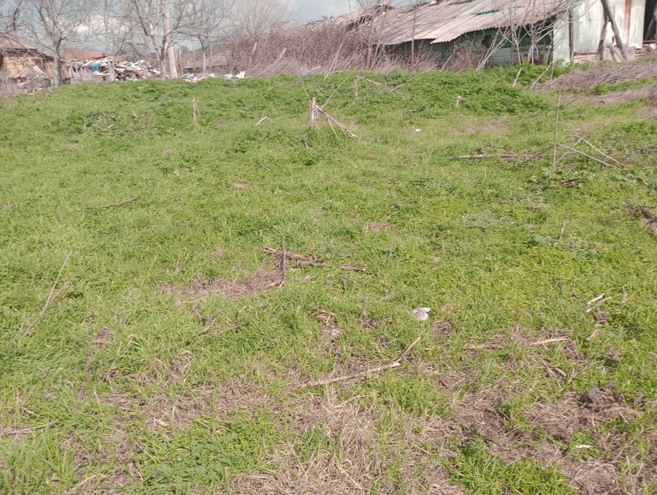 Продава се Парцел в с. Рудник, Област Бургас - 850 кв.м за 24 €/кв.м - Снимка #6