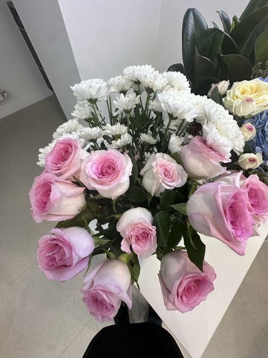 Цветы красивые новые