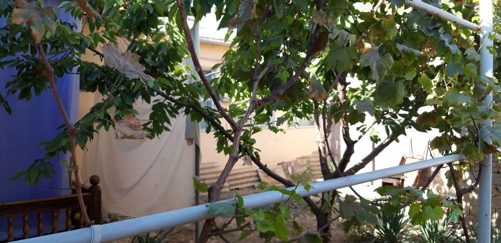 Продаётся дом 4 соток