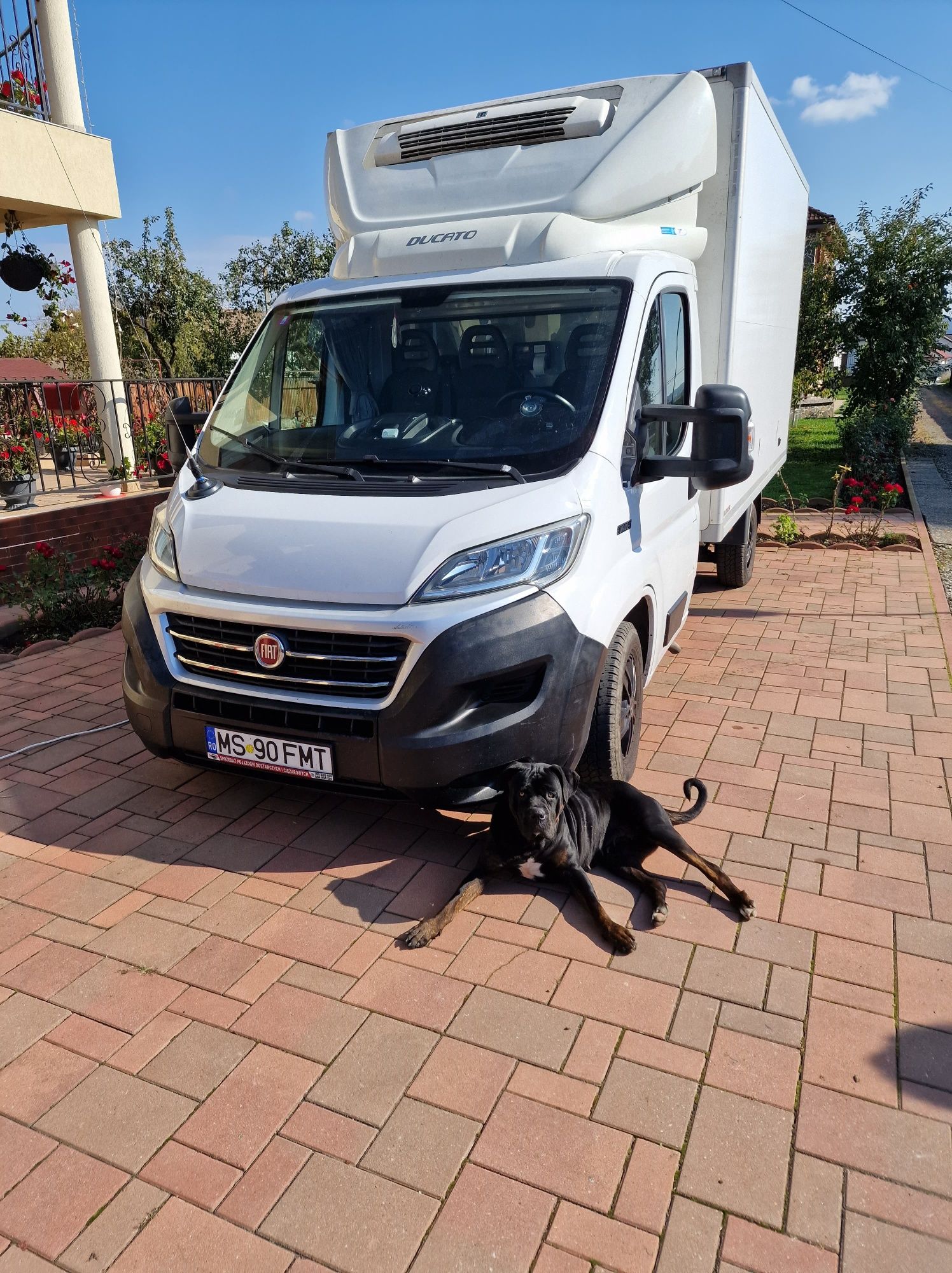 Fiat ducato hotsell 2016 olx