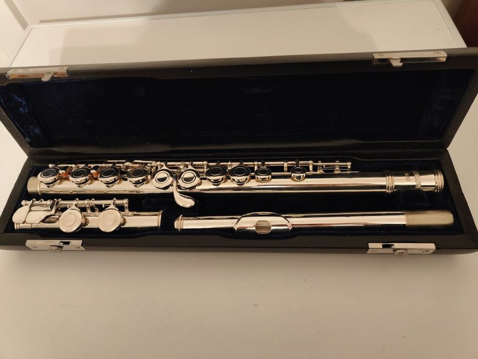 Vand Flaut instrument muzical