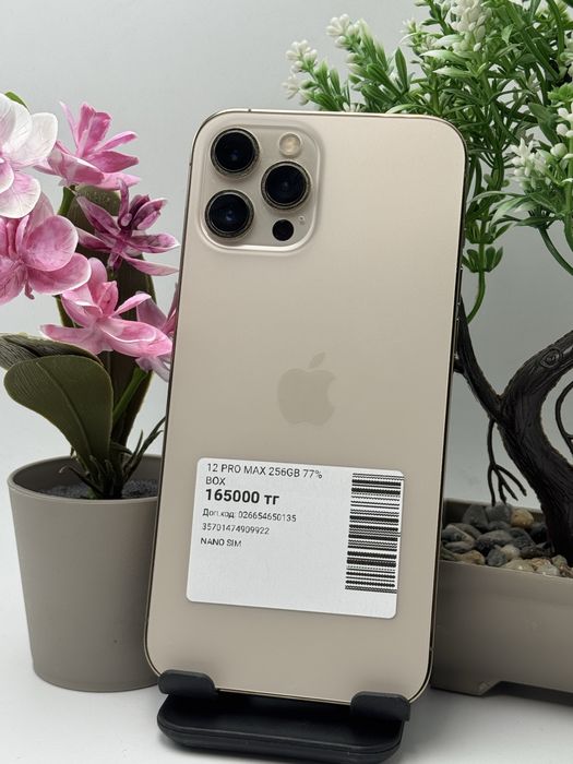 Iphone 12 Pro Max
