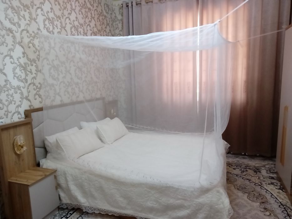 Пашшахона, тюль сеткадан, пешахона