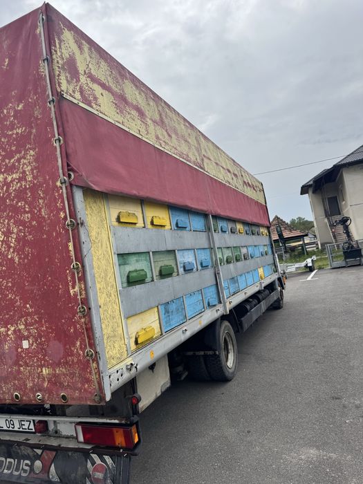 Camion apicol MAN