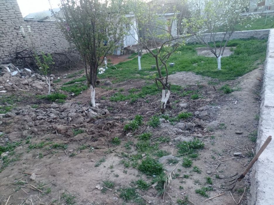 Narpay sentrdan hovli sotiladi