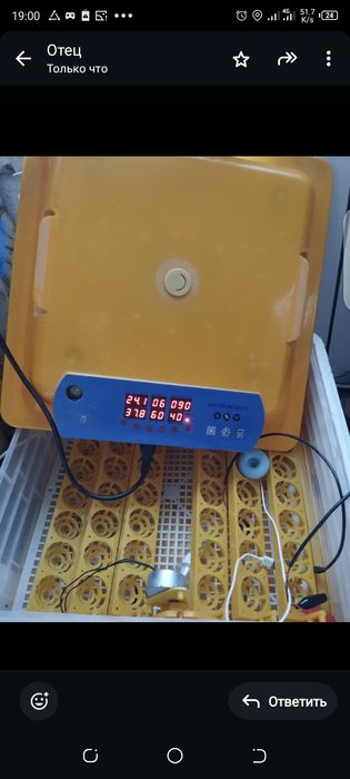 Продам инкубаторы