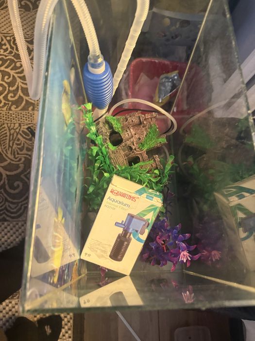 Аквариум с набором.                        .