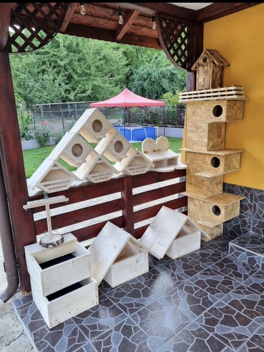 Căsuțe păsări din lemn