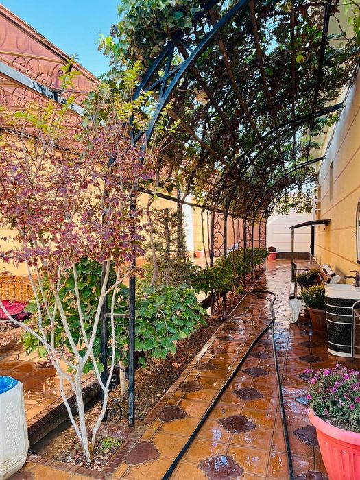 Termiz sh xovli uy sotiladi