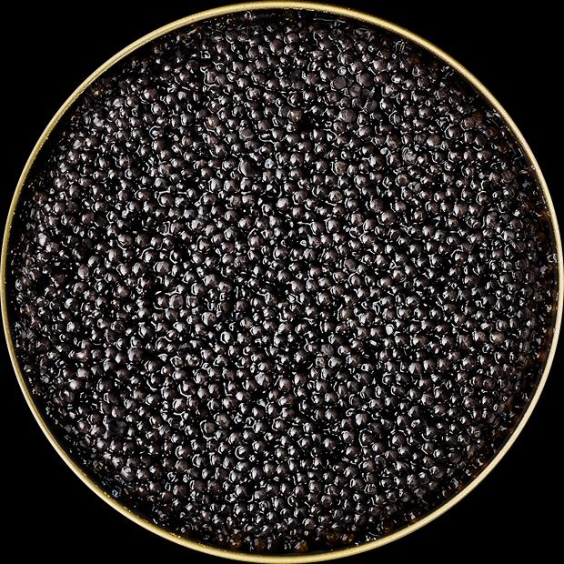 Продаю икру черную