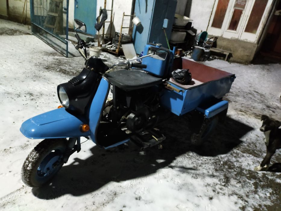 Продам муравейник