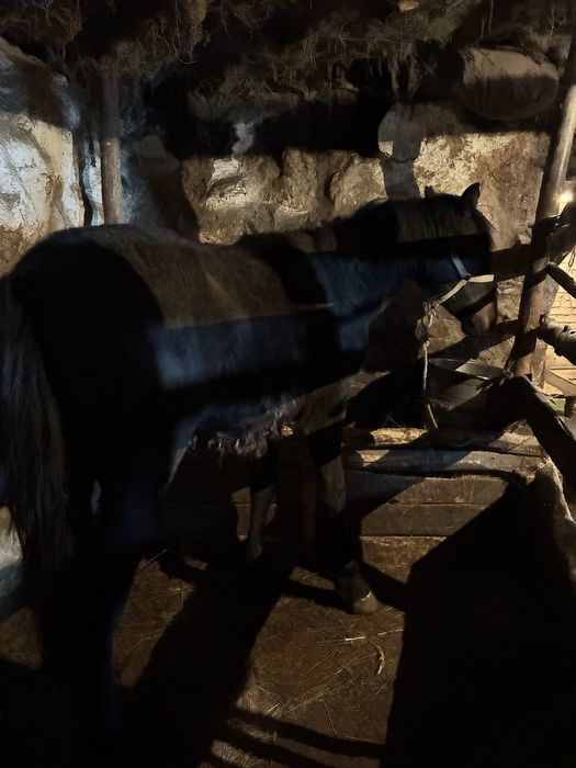 Обмен на камри 35