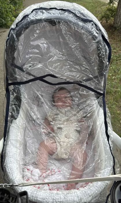 Коляска Adamex by Barletta