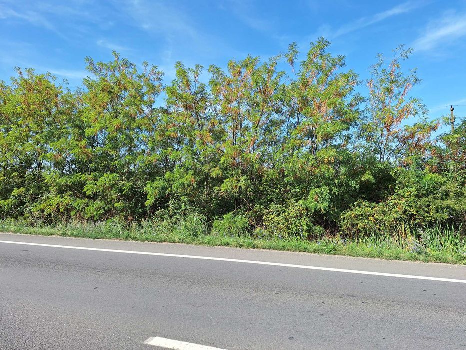 Teren intravilan Isalnita, deschidere la Drumul European E70