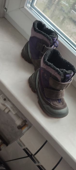 зимние сапоги ecco