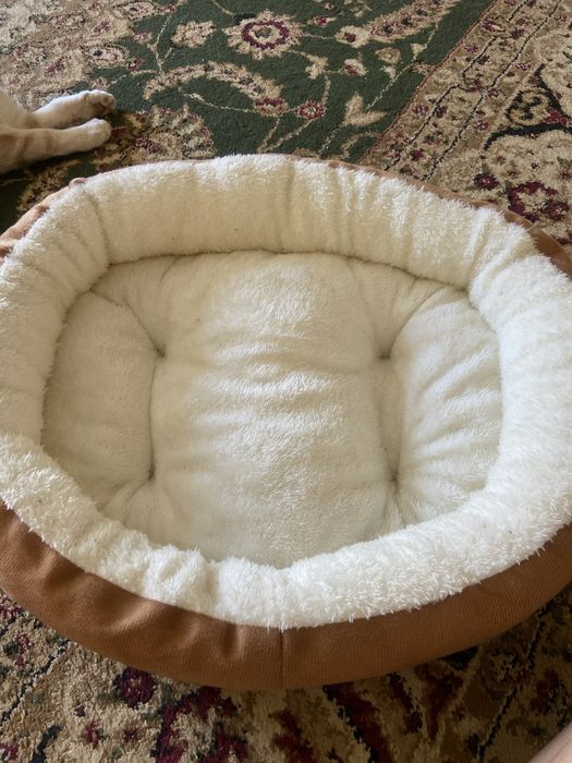 Лежанка для кошек