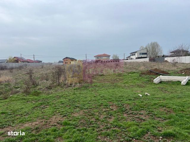 Teren Domnesti- Drumul Targului.