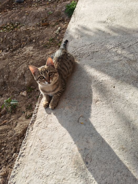 Hozir jinsiy aloqa videolarini tomosha qilish