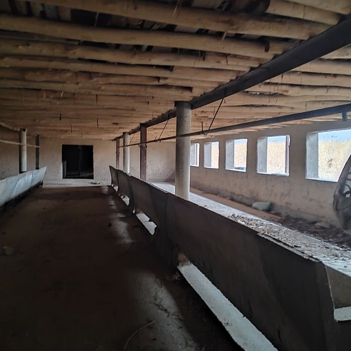 Teplitsa ferma 2.6 gektar nazarbe muzimpix tarafta sotiladi