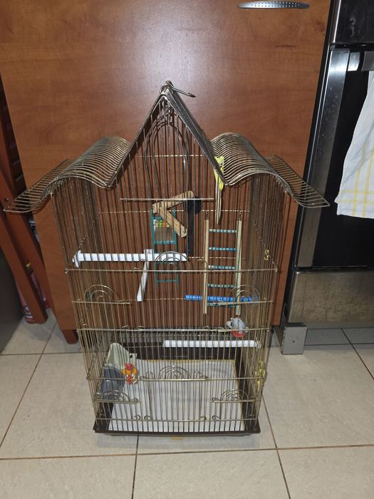 Colivie pentru pasari completă, mare și funcțională