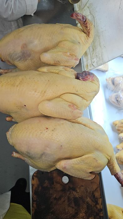 Мясо домашней птицы