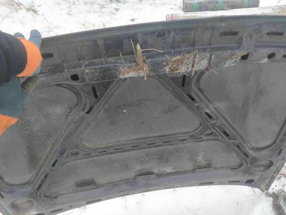 Капот для Волксваген Пассат улыбка