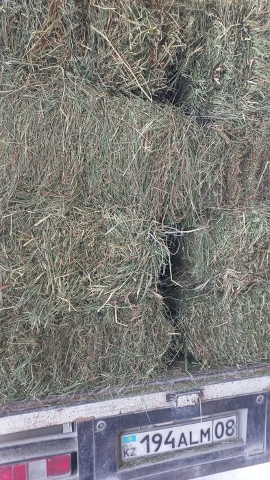 Клевер, Салома, Сено.