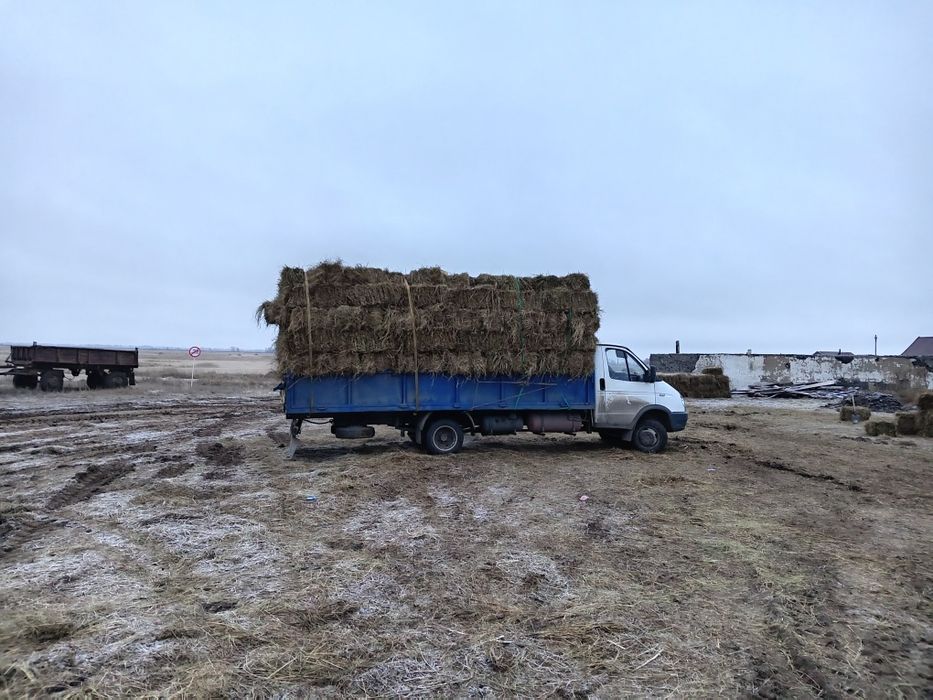 Продам сено в рулонах и тюках