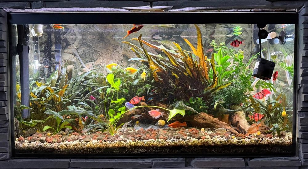 Lampa Custom pentru acvariu 100 cm