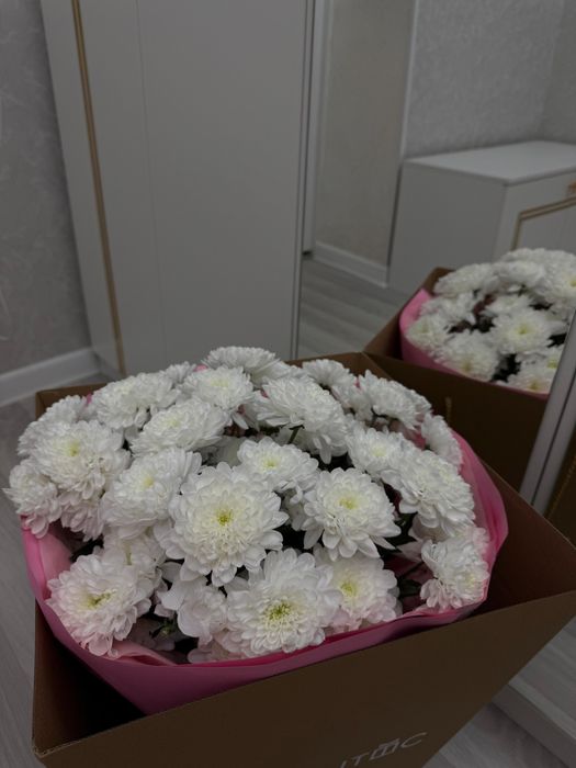 Цветы, букет, гүл