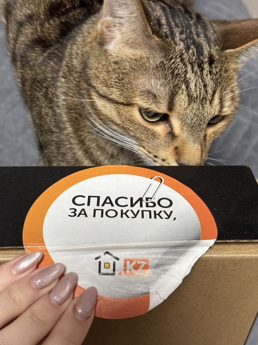 Ноутбук asus x543u