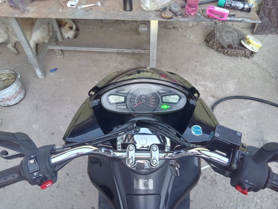 Всем саломалекум