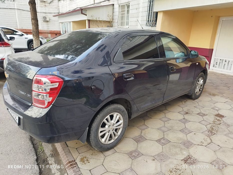 2023/2024 краска тозза