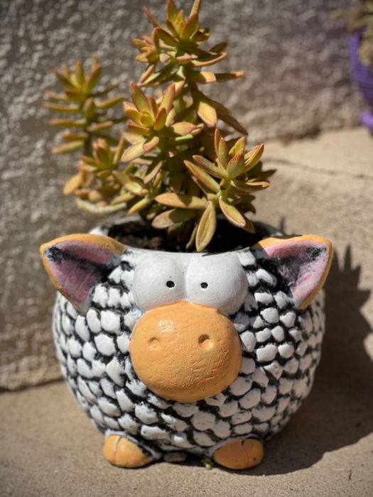 Подаръци,декорации