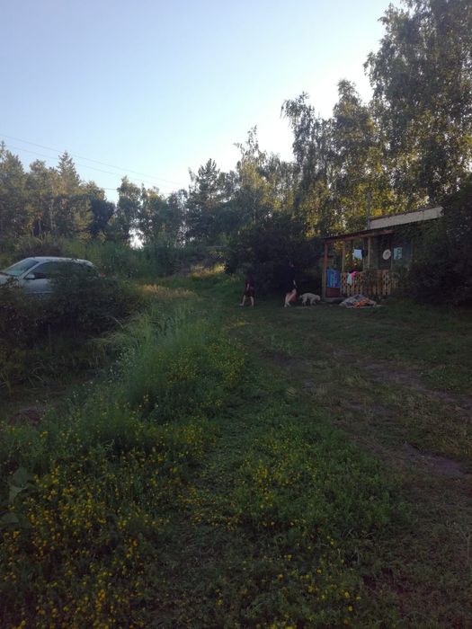 Участок с домиками на Бухтарме