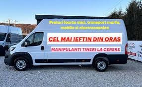 Debarasării mobile, curățări gunoi, etc